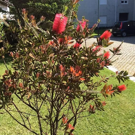 Apartamento Ofir Apartamento