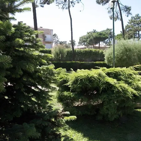 Apartamento Ofir * Fão